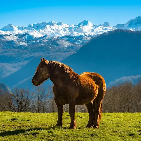 Rurales Les Xanes Onís