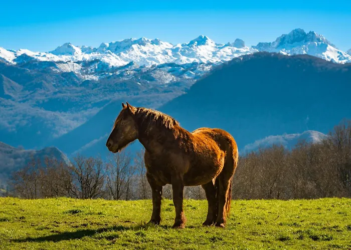 Rurales Les Xanes Cangas de Onis